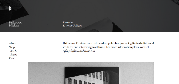 վ�L֮��, �W(w��ng)վ�O(sh��)Ӌ(j��), �W(w��ng)վ׃�ڰ�ɫ, �W(w��ng)վɫ�ʴ���