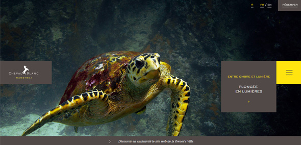 ��������Ʒ�Wվ ����Ʒ�Wվ �Wվ�OӋ�p�R �Wվ�OӋ